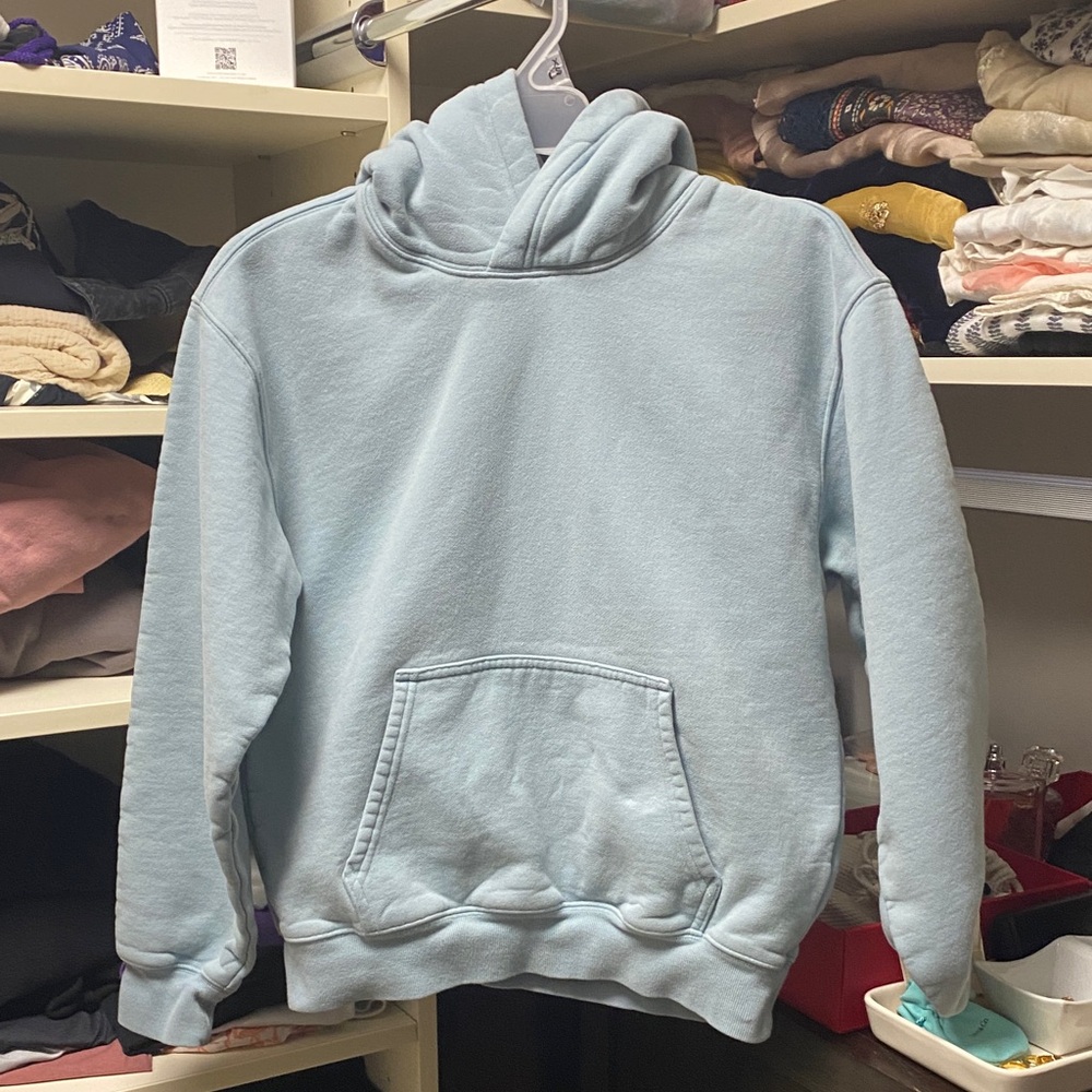 Aritzia Swwatfleece Blue Hoodie